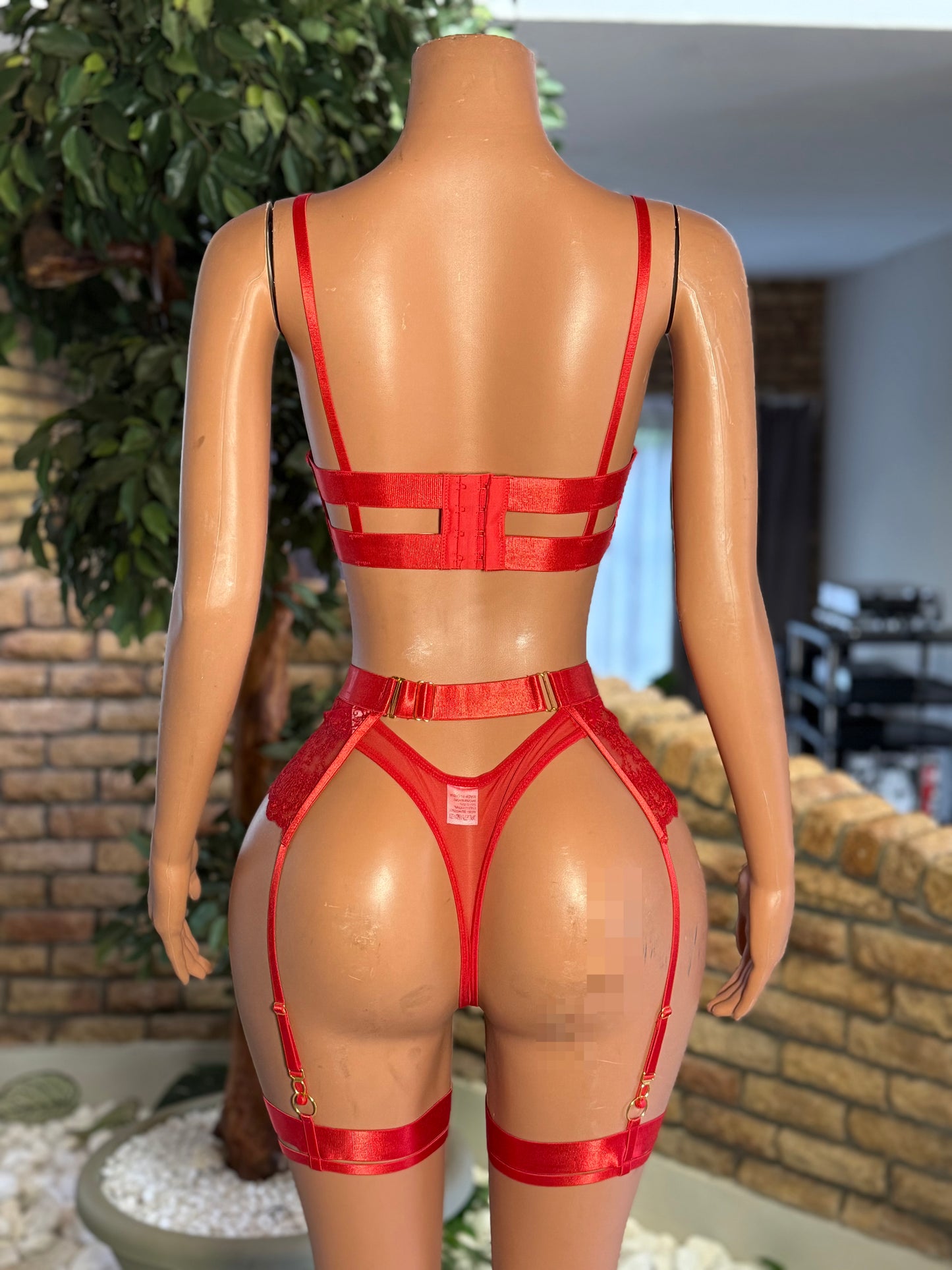 Ms. Zara (red)