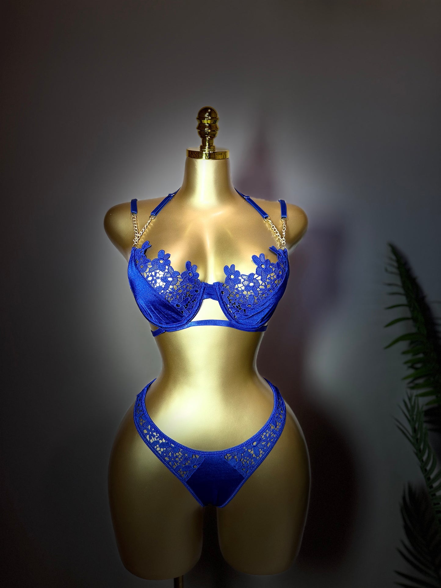 Sultry Siren Lingerie
