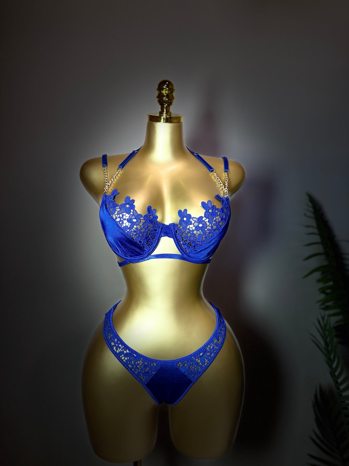 Sultry Siren Lingerie