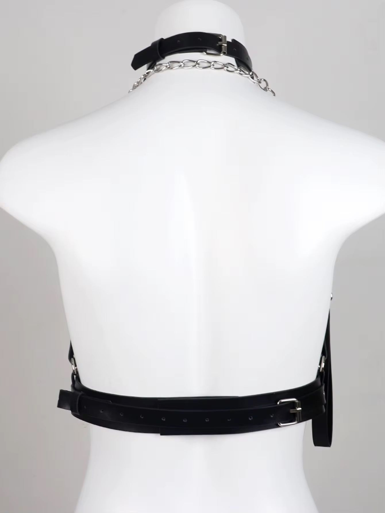 Muse Authority Harness